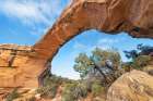 Owachomo Bridge-Natural Bridges National Monument-Utah Art Print
